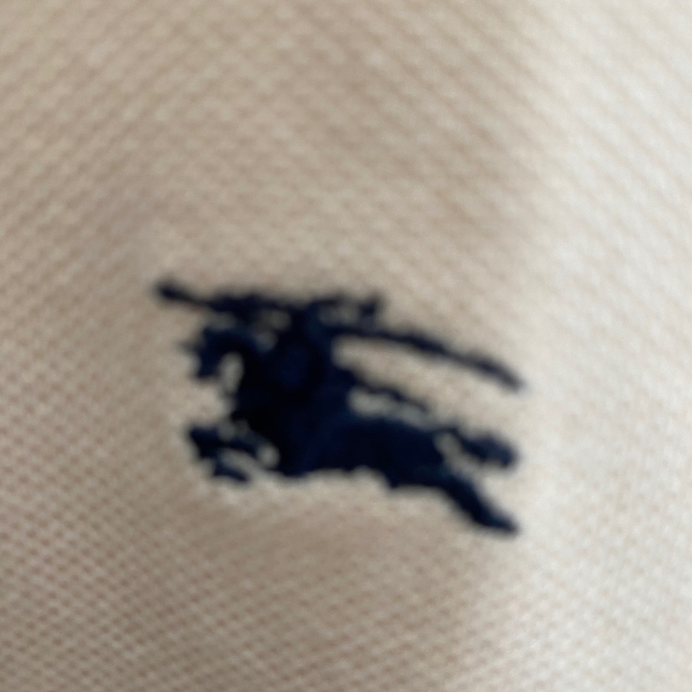 Polo - Picture 6 of 6